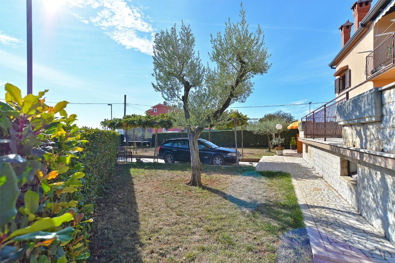 Apartman Ana 379